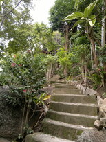 thumb_14012011535.jpg