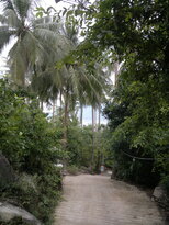 thumb_14012011536.jpg