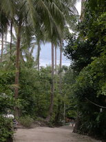 thumb_14012011537.jpg