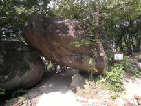 thumb_16012011548.jpg