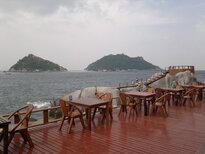 thumb_16012011549.jpg