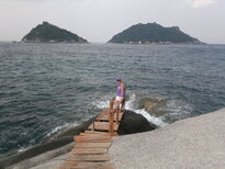 thumb_16012011554.jpg