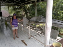 thumb_16012011555.jpg