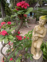 thumb_16012011558.jpg