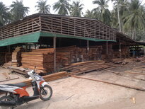 thumb_18012011564.jpg