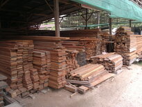 thumb_18012011565.jpg