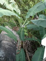 thumb_18012011584.jpg