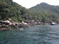 thumb_19012011593.jpg