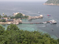 thumb_19012011608.jpg