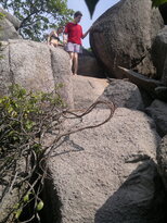 thumb_19012011612.jpg