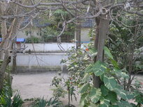 thumb_19012011620.jpg