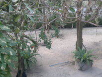 thumb_19012011621.jpg