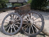 thumb_20012011623.jpg