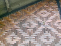 thumb_21012011631.jpg