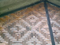 thumb_21012011632.jpg