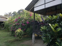 thumb_22012011648.jpg