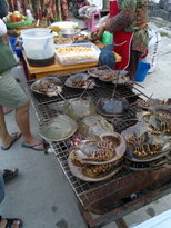 thumb_22012011658.jpg