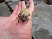 thumb_25012011683.jpg