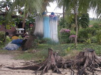 thumb_25012011693.jpg