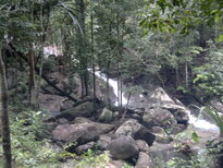 thumb_26012011700.jpg