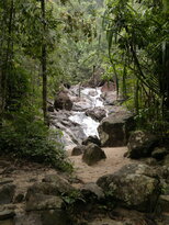 thumb_26012011701.jpg