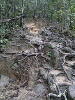 thumb_26012011702.jpg