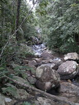 thumb_26012011703.jpg