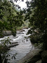 thumb_26012011704.jpg