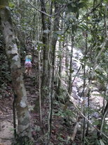 thumb_26012011705.jpg