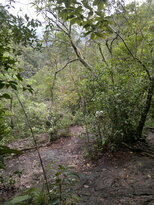 thumb_26012011706.jpg