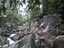thumb_26012011707.jpg