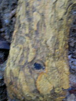 thumb_26012011712.jpg