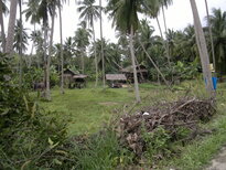 thumb_26012011716.jpg