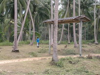 thumb_26012011717.jpg
