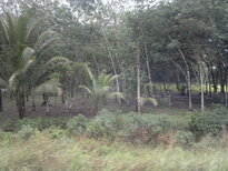 thumb_27012011724.jpg