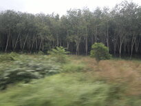 thumb_27012011725.jpg