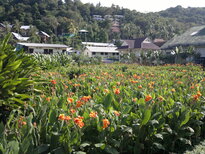 thumb_28012011741.jpg