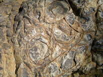 thumb_28012011749.jpg