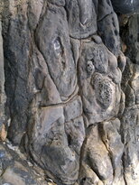 thumb_28012011750.jpg