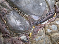 thumb_28012011751.jpg