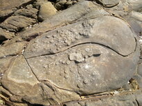 thumb_28012011752.jpg
