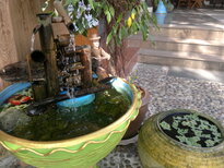 thumb_28012011756.jpg