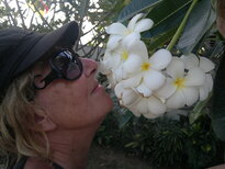thumb_28012011758.jpg