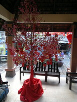 thumb_28012011760.jpg