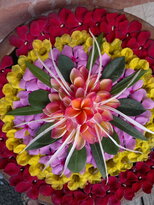 thumb_28012011761.jpg
