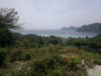 thumb_29012011769.jpg