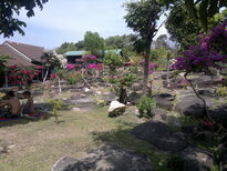 thumb_29012011775.jpg