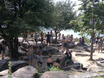 thumb_29012011776.jpg