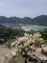 thumb_29012011781.jpg