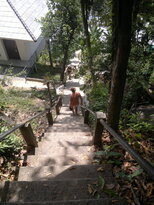 thumb_29012011785.jpg